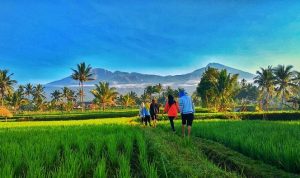Eksplorasi Keindahan Desa Wisata Kembang Kuning, Pesona Alam, Budaya, dan Kuliner Tradisional. (Foto : Dok. Istimewa)