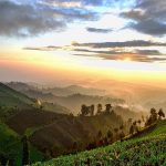 Mengintip Pesona Argosari 'Negeri di Atas Awan' di Puncak Tertinggi Jawa Timur! (Foto : Dok. Istimewa)