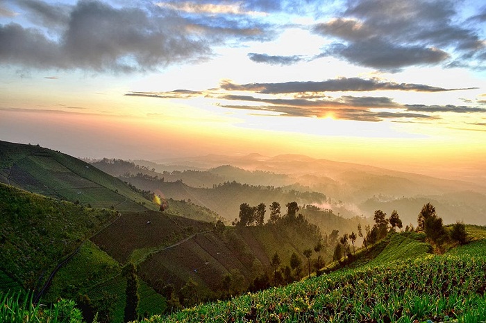 Mengintip Pesona Argosari 'Negeri di Atas Awan' di Puncak Tertinggi Jawa Timur! (Foto : Dok. Istimewa)