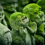 6 Candi Menakjubkan di Indonesia, Menyingkap Pesona Keindahan Warisan Budaya. (Foto : Dok. Istimewa)