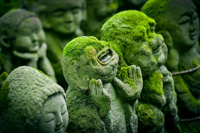 6 Candi Menakjubkan di Indonesia, Menyingkap Pesona Keindahan Warisan Budaya. (Foto : Dok. Istimewa)