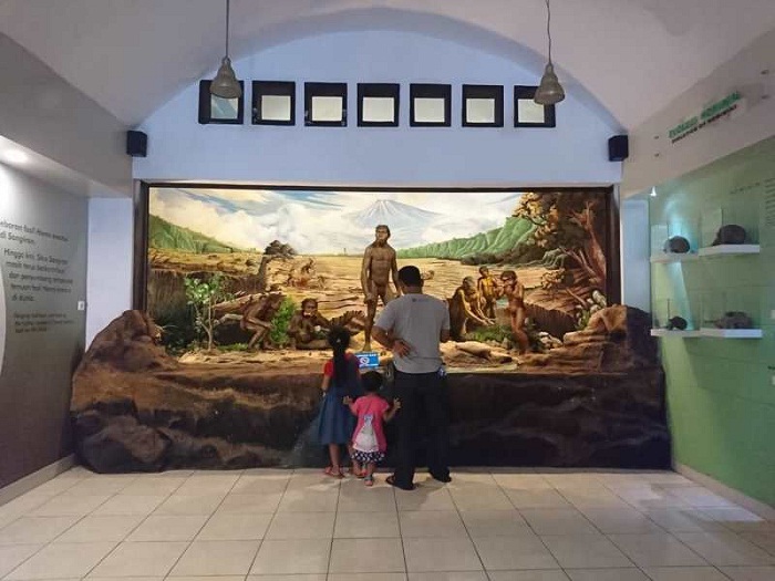 Sangiran, Membongkar Misteri Evolusi Manusia Purba di Tanah Jawa. (Foto : Dok. Istimewa)