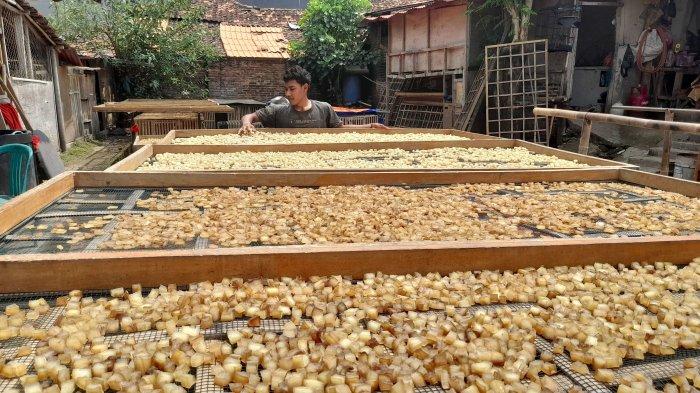 3 Ide Bisnis Desa Menguntungkan, Modal Rp30 Ribu, Keuntungan Melambung Rp4 Juta Sehari! (Foto : Dok. Istimewa)